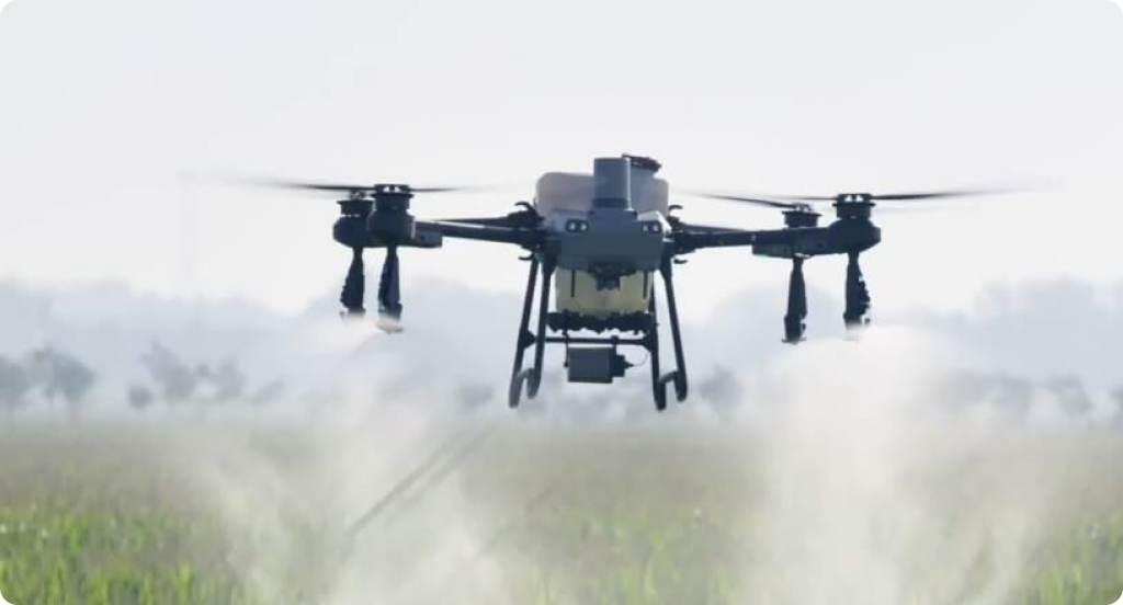 Corn Field Application